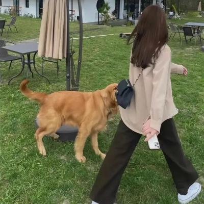 钻石脚之起落